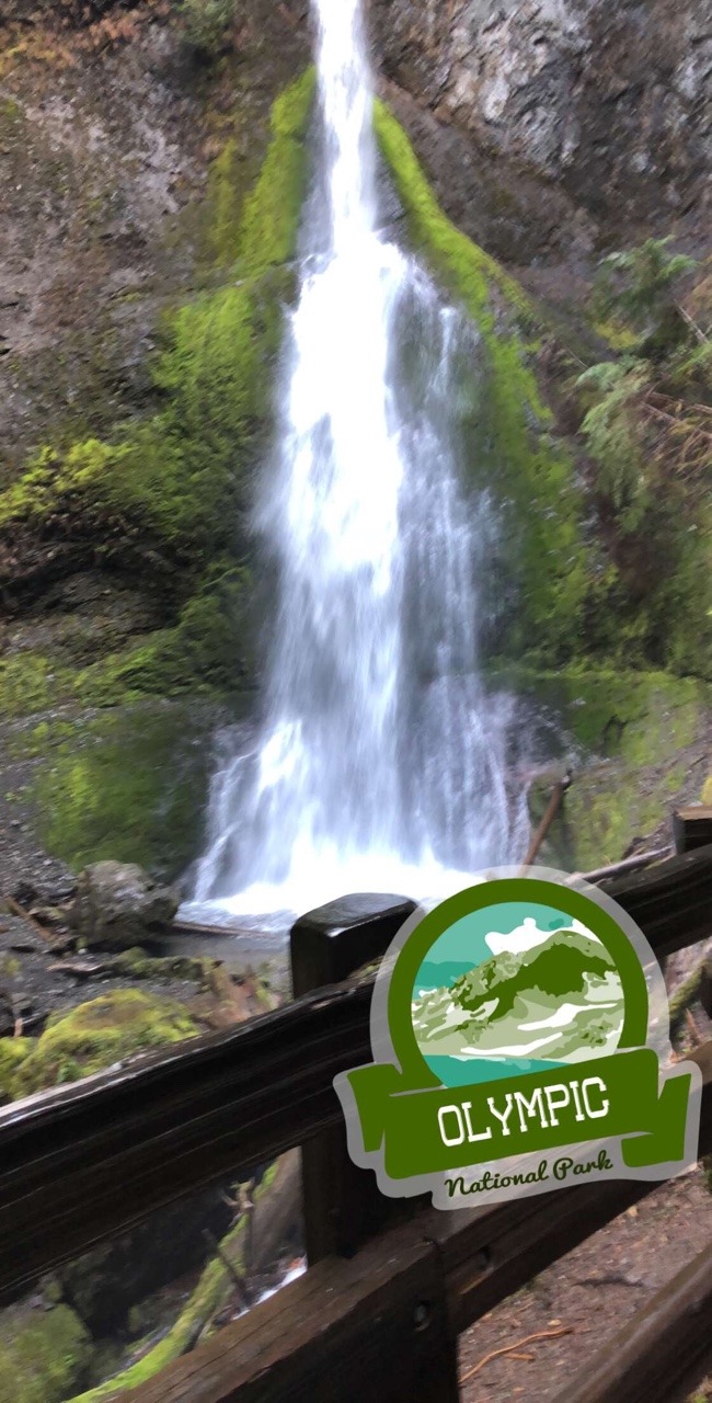 Nice day for a little hike with the dogs in the PNW