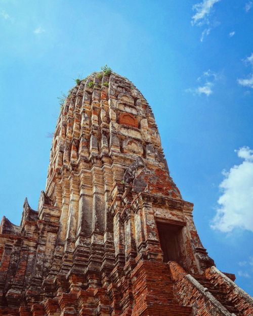 Ruined temple, Ayutthaya, Thailand. . . . . #ayutthaya #visitayutthaya #ayutthayatourism #visittha