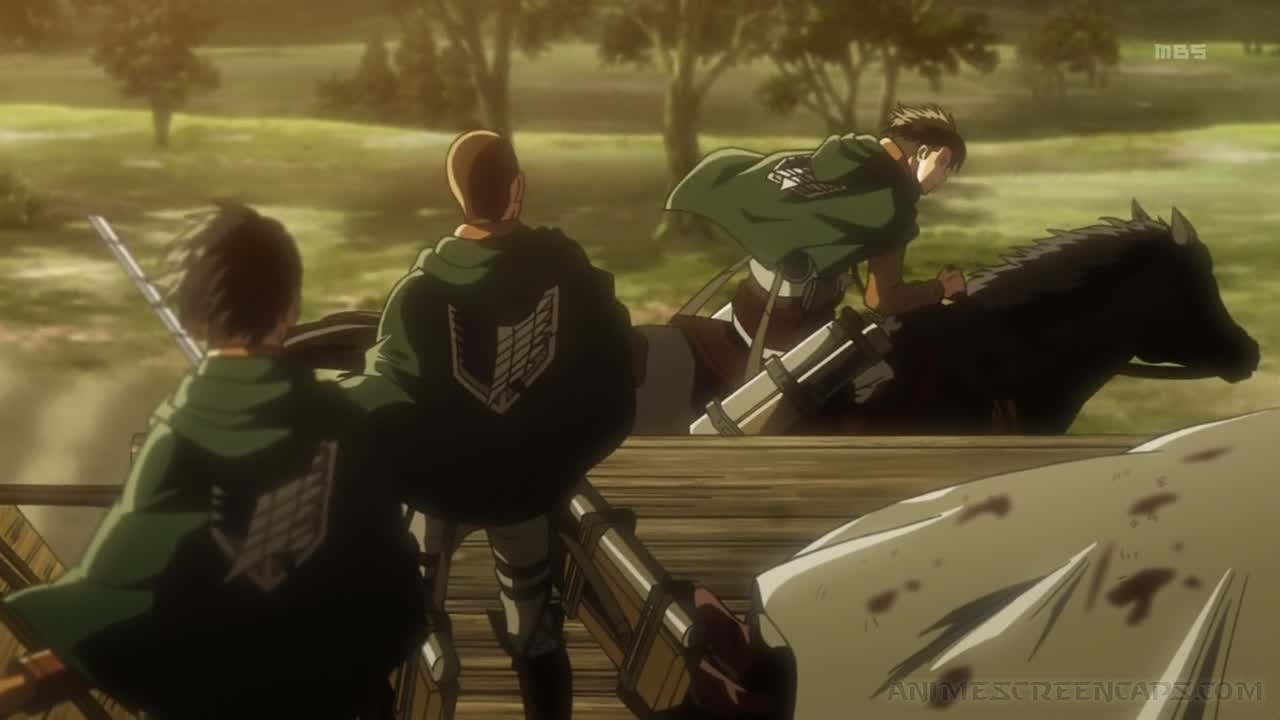 Sport Among the She-Noodles — Significance of Horse Color in Attack on  Titan...