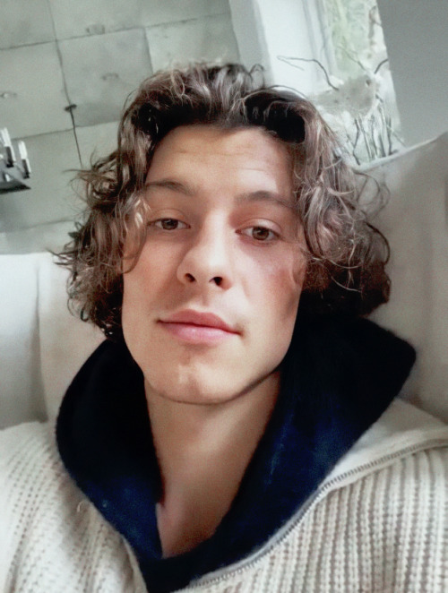wondershawn