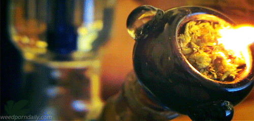 weedporndaily:  Starting fires with flowers