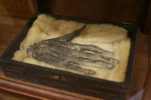 xostie:  The Hand of Glory is the dried and pickled hand of a man who has been hanged,