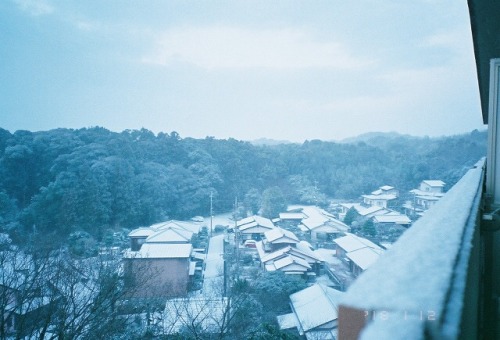 今年は雪がよく降りました。 出産後だったので、どちらにしろどこへも行けず、家の中から降る雪を見たり、ベランダや玄関の外に少し出て写真を撮ることしか出来ませんでした。 それはそれでストレスでしたが。笑 