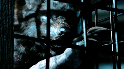 billdecker:Doctor Who Rewatch | Tooth and Claw