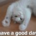 isa-ww:#meow