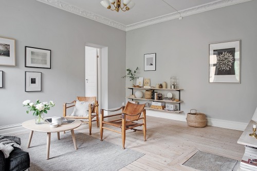 stylish-interior-design: Gray living room | Alvhem