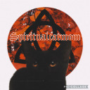 spiritualcatmom avatar