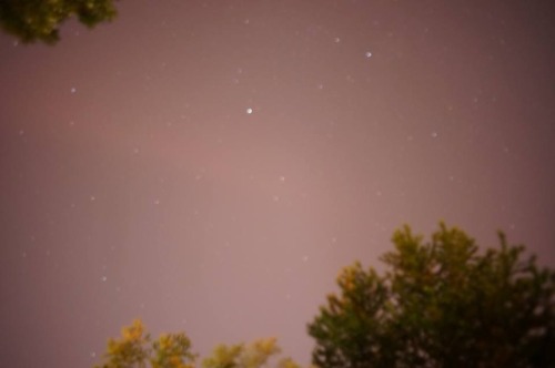 strawberro: pics from last night’s meteor shower (photo creds to my momma)