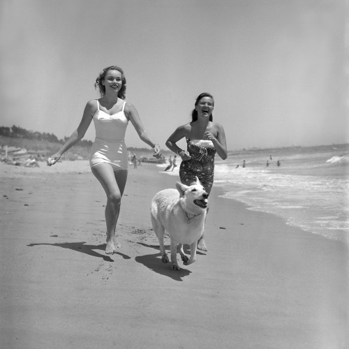 Girls from the Santa Monica Swimming Club at the beach, 1954.