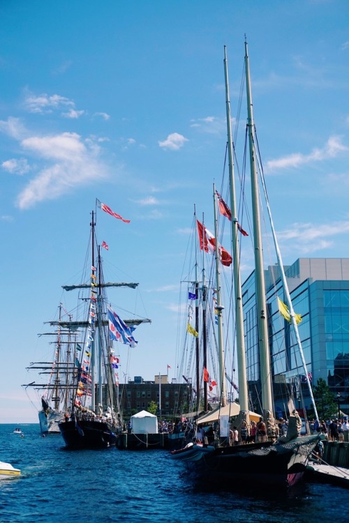 2017 Tall Ships Regatta in Halifax | August 2017 | Created with VSCO