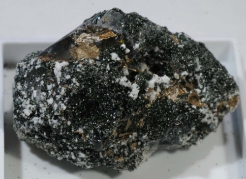 Rutile Var Sagenite With Anatase &amp; Brookite - Ankogel, Carinthia, Austria