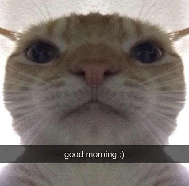 catasters:
