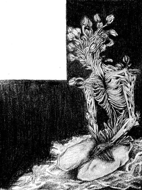 "Growth" 9.27.2022