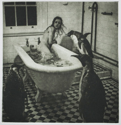 inneroptics:    Angry Penguins -Bill Moseley