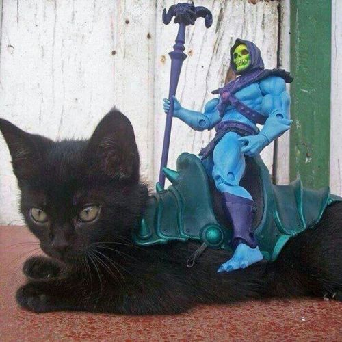 panthor