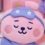 goodnight-cooky