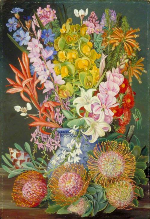 artist-marianne-north:Wild Flowers of Ceres, South Africa, 1882, Marianne North