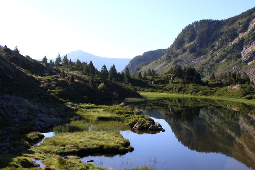 pyrenees