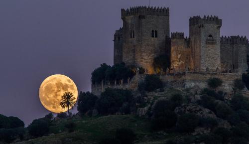 culturenlifestyle:  OUTSTANDING SUPERMOON PHOTOGRAPHY! [ENJOY] Keep reading 