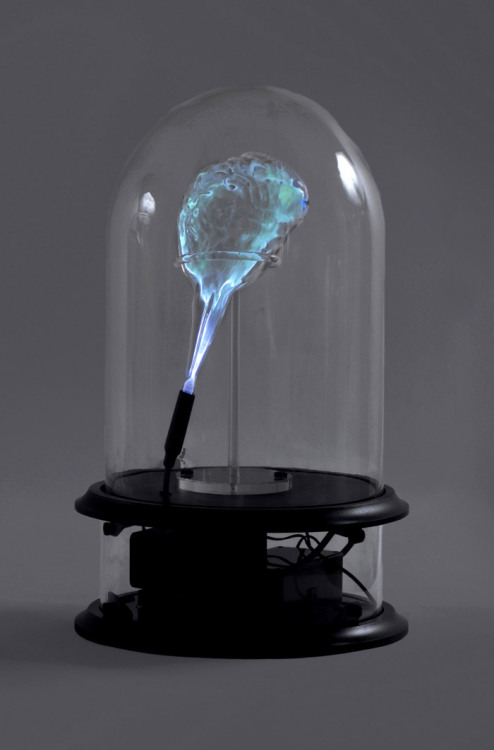 arpeggia: Jessica Lloyd-Jones - Anatomical Neon, 2010 Blown glass human organs encapsulate iner