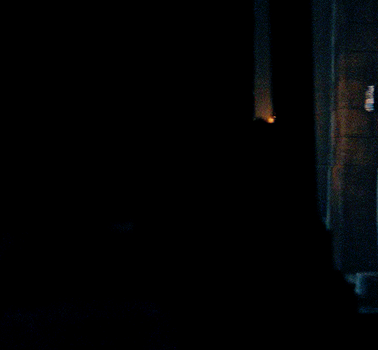 f9916daeb198accf22d8ee9c8c8a423bcb3366b6.gifv