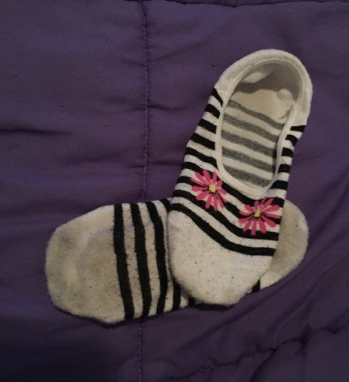 bmcgrattan16: My hot cousins ped socks