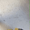 peebabykatie:low quality gif from earlier, during my first big leak. i tried to post