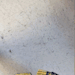 peebabykatie:low quality gif from earlier, during my first big leak. i tried to post
