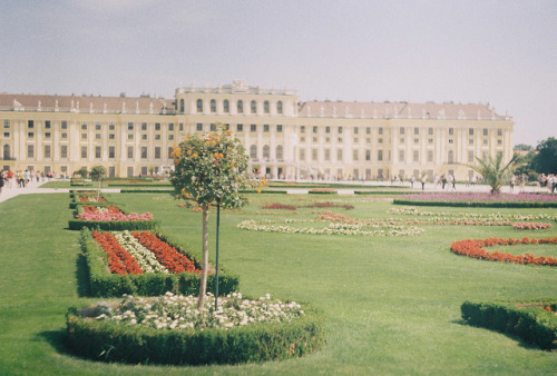 vintagepales2:Schönbrunn Palace, Vienna