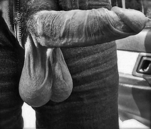 noblueballs:  A beautiful balls montage for you. All are serious teabagging candidates! 