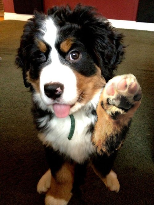 Hi five.