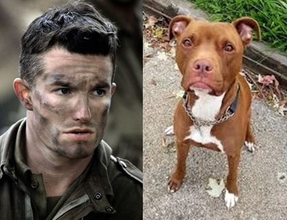 neverbelikeyoume:  Easy Company as dogs, because they are all a bunch of puppies