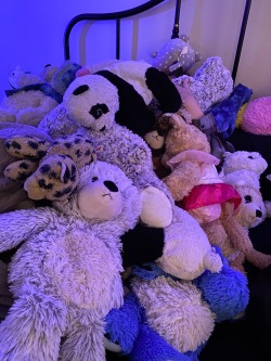 lauryn-order:Last night was a close one. We almost lost @baby-foxx! Thankfully we eventually found her buried under stuffie mountain. Phew! 