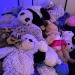 lauryn-order:Last night was a close one. We almost lost @baby-foxx! Thankfully we eventually found her buried under stuffie mountain. Phew! 