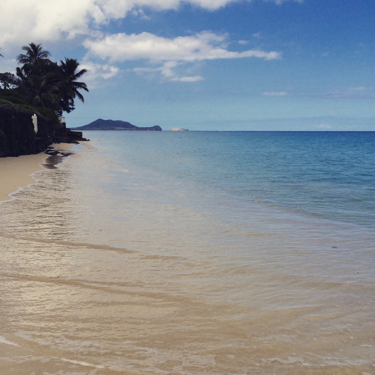 luxurylearry:  http://luxurylearry.tumblr.com/