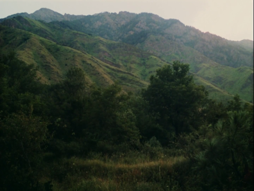 madamebeudet:before my eyes mani kaul (1989) dop : Piyush ShahBeautiful short documentary which can 