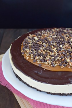 foodffs:  Chocolate Caramel Cheesecake TartReally