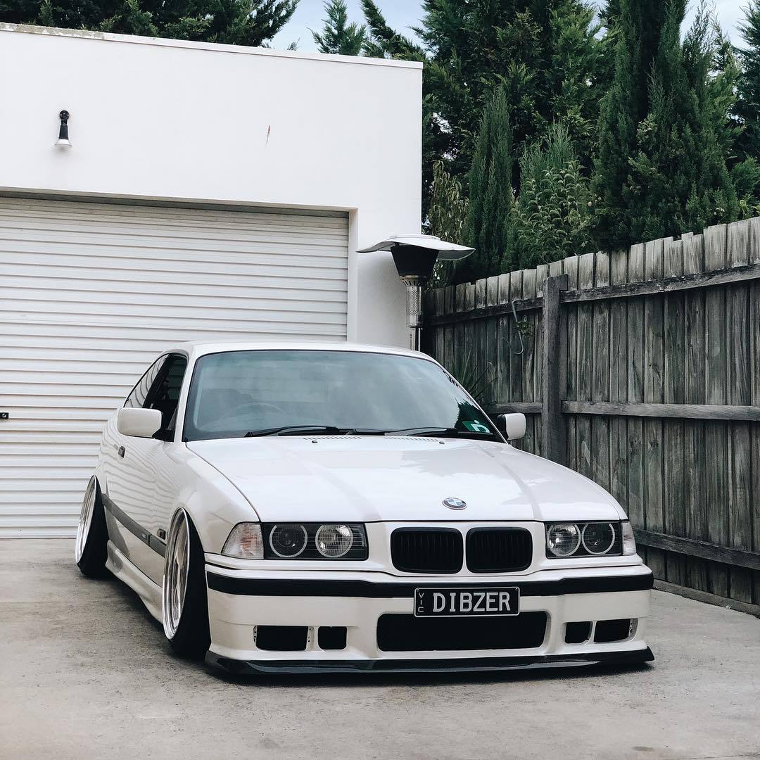 nifkii:    dibzer