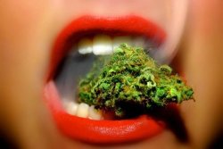 theheroicchemist:  Everyone likes the term “Stoner Girls” but what about “Ganja Girls”?