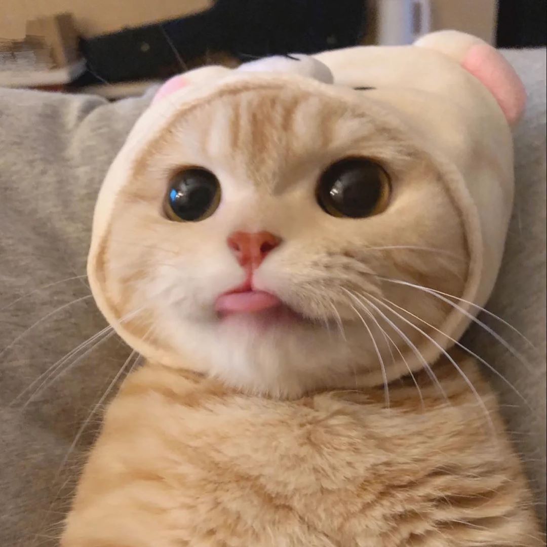 reald0pe: