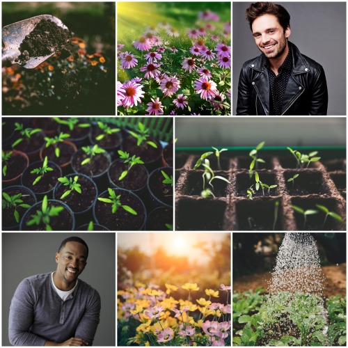 For @omg-just-peachy, who asked for Sambucky + Garden Aesthetic.  Ask Nixie Things.