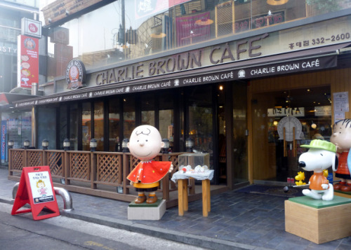 Cafes of Seoul Seoul is home to a wide variety of cafes. From dog cafes to camping cafes- Seoul has 