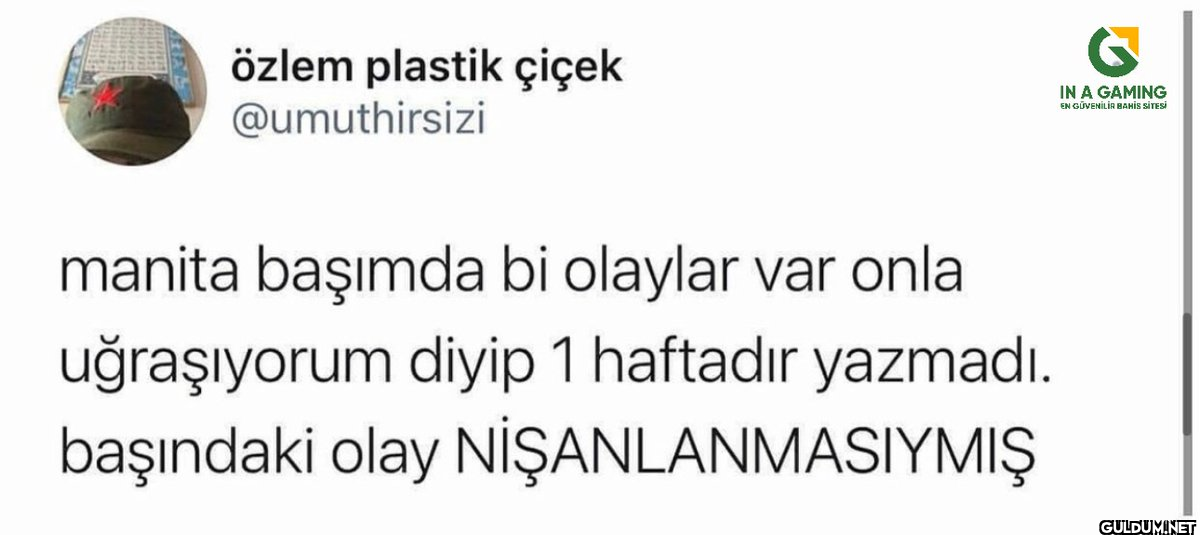 özlem plastik çiçek...