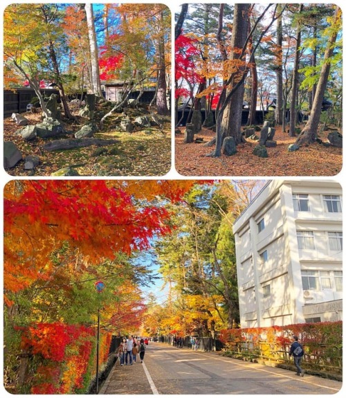 ＼おにわさん更新情報／ ‪[ 秋田県仙北市 ] 角館武家屋敷 小田野家・河原田家庭園 Odano &amp; Kawarada Samurai House Garden, Kakunodate