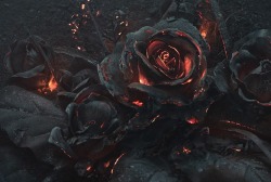 sixpenceee:  A smoldering bouquet of roses photographed by Ars Thanea 