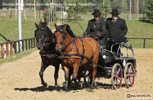 Prislop ZefirPrislop x Ousor BorcsaHucul Pony, StallionBorn 2006