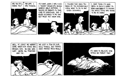 Calvin and Hobbes: the break-in story, Part 2. (Part 1 here.)