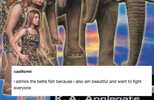 kagaintheskywithdiamonds:Animorphs + text posts