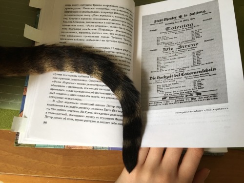 papertiger666:Mishka kindly offered his tail as a bookmark