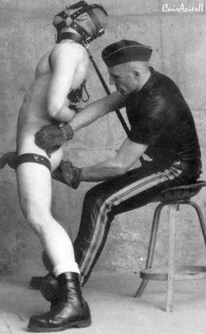 fcukpuppy:  Collection - 41